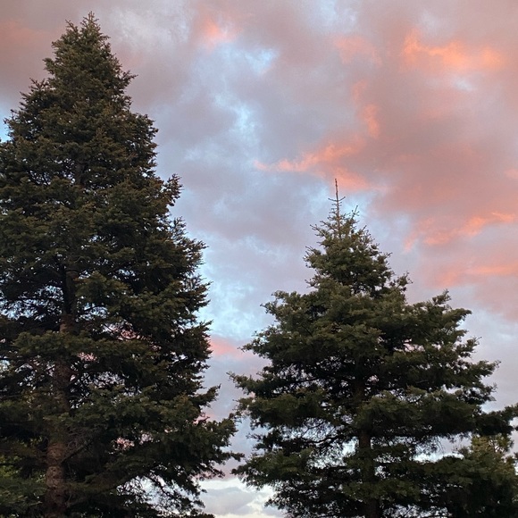 Meet your Posher, Halle - Picture 1 of 1